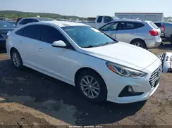 5NPE24AF0KH747646 2019 HYUNDAI SONATA