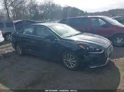 5NPE24AF0KH749025 2019 HYUNDAI SONATA