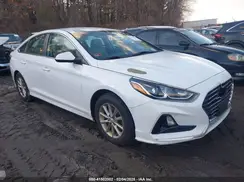 5NPE24AF0KH750773 2019 HYUNDAI SONATA