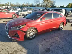 5NPE24AF0KH753494 2019 HYUNDAI SONATA