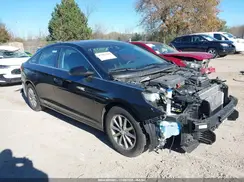 5NPE24AF0KH760171 2019 HYUNDAI SONATA