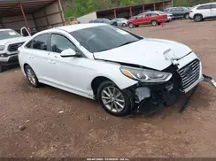 5NPE24AF0KH770151 2019 HYUNDAI SONATA