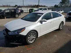 5NPE24AF0KH770540 2019 HYUNDAI SONATA
