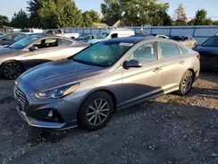 5NPE24AF0KH771977 2019 HYUNDAI SONATA
