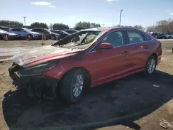 5NPE24AF0KH773521 2019 HYUNDAI SONATA