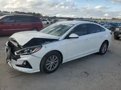5NPE24AF0KH776998 2019 HYUNDAI SONATA