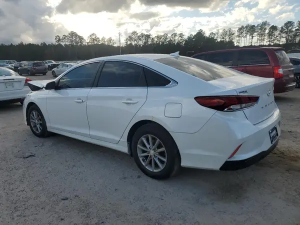 5NPE24AF0KH776998 2019 HYUNDAI SONATA - Image 2
