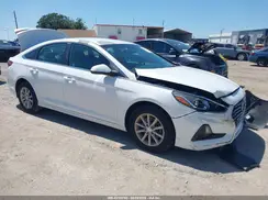5NPE24AF0KH777889 2019 HYUNDAI SONATA