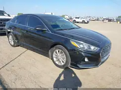 5NPE24AF0KH777990 2019 HYUNDAI SONATA