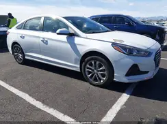 5NPE24AF0KH779979 2019 HYUNDAI SONATA