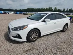 5NPE24AF0KH783515 2019 HYUNDAI SONATA