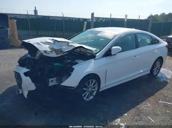 5NPE24AF0KH787564 2019 HYUNDAI SONATA - Image 2