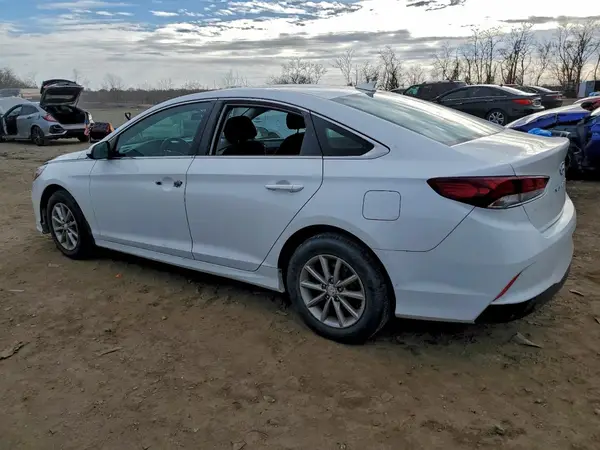5NPE24AF0KH787726 2019 HYUNDAI SONATA - Image 2