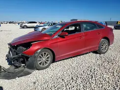 5NPE24AF0KH790495 2019 HYUNDAI SONATA