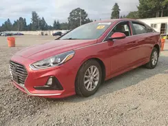 5NPE24AF0KH791856 2019 HYUNDAI SONATA