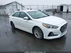 5NPE24AF0KH793851 2019 HYUNDAI SONATA