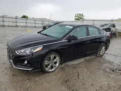 5NPE24AF0KH794031 2019 HYUNDAI SONATA