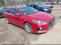 5NPE24AF0KH795003 2019 HYUNDAI SONATA