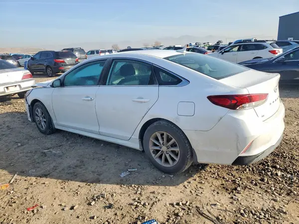 5NPE24AF0KH796779 2019 HYUNDAI SONATA - Image 2