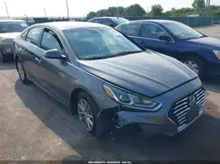 5NPE24AF0KH800989 2019 HYUNDAI SONATA
