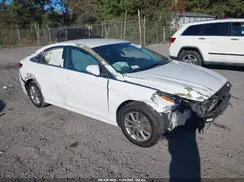 5NPE24AF0KH802421 2019 HYUNDAI SONATA