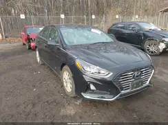 5NPE24AF0KH805979 2019 HYUNDAI SONATA