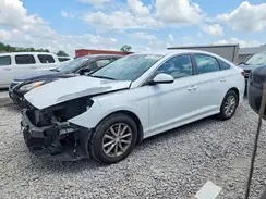 5NPE24AF0KH807151 2019 HYUNDAI SONATA