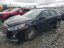 5NPE24AF0KH807568 2019 HYUNDAI SONATA