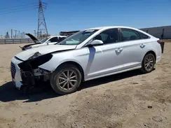 5NPE24AF0KH810390 2019 HYUNDAI SONATA