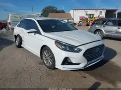 5NPE24AF0KH810843 2019 HYUNDAI SONATA