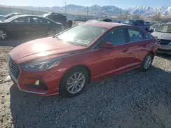 5NPE24AF0KH811569 2019 HYUNDAI SONATA