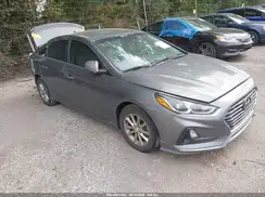 5NPE24AF0KH811717 2019 HYUNDAI SONATA