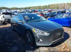 5NPE24AF0KH813841 2019 HYUNDAI SONATA