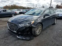 5NPE24AF0KH817369 2019 HYUNDAI SONATA