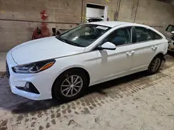5NPE24AF0KH819137 2019 HYUNDAI SONATA