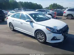 5NPE24AF0KH819980 2019 HYUNDAI SONATA