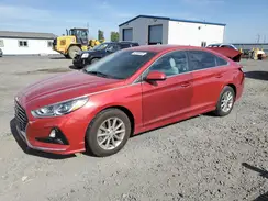 5NPE24AF0KH821406 2019 HYUNDAI SONATA