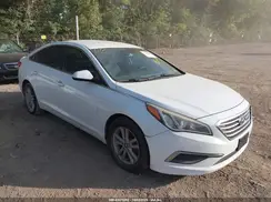 5NPE24AF1GH264061 2016 HYUNDAI SONATA