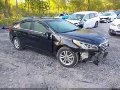 5NPE24AF1GH272709 2016 HYUNDAI SONATA