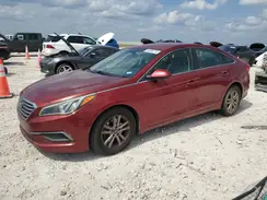 5NPE24AF1GH273407 2016 HYUNDAI SONATA