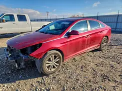5NPE24AF1GH279465 2016 HYUNDAI SONATA