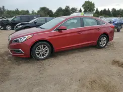 5NPE24AF1GH282737 2016 HYUNDAI SONATA