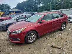 5NPE24AF1GH290448 2016 HYUNDAI SONATA