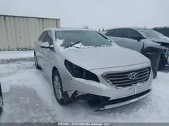 5NPE24AF1GH293883 2016 HYUNDAI SONATA