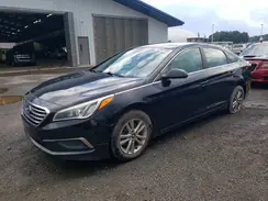 5NPE24AF1GH294922 2016 HYUNDAI SONATA