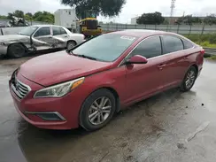 5NPE24AF1GH297500 2016 HYUNDAI SONATA