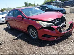 5NPE24AF1GH299134 2016 HYUNDAI SONATA