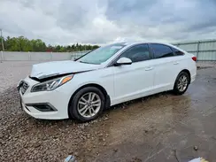 5NPE24AF1GH309340 2016 HYUNDAI SONATA