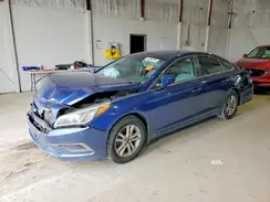 5NPE24AF1GH311167 2016 HYUNDAI SONATA