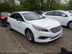 5NPE24AF1GH313677 2016 HYUNDAI SONATA